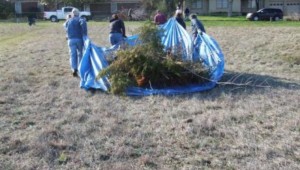 VOLUNTEERS SUCH AS THESE FROM LAST YEAR GET IN SOME EXERCISE WHILE PERFORMING A COMMUNITY TASK AT THE SAME TIME.