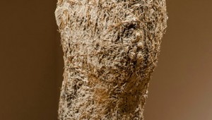 James Sullivan’s “Head With Rocks in Mouth”