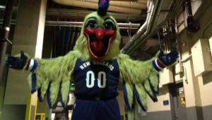 pelican