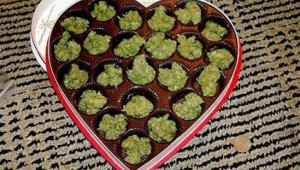 pot heart