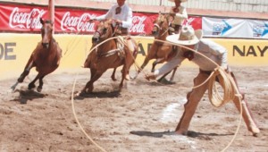 portrillos