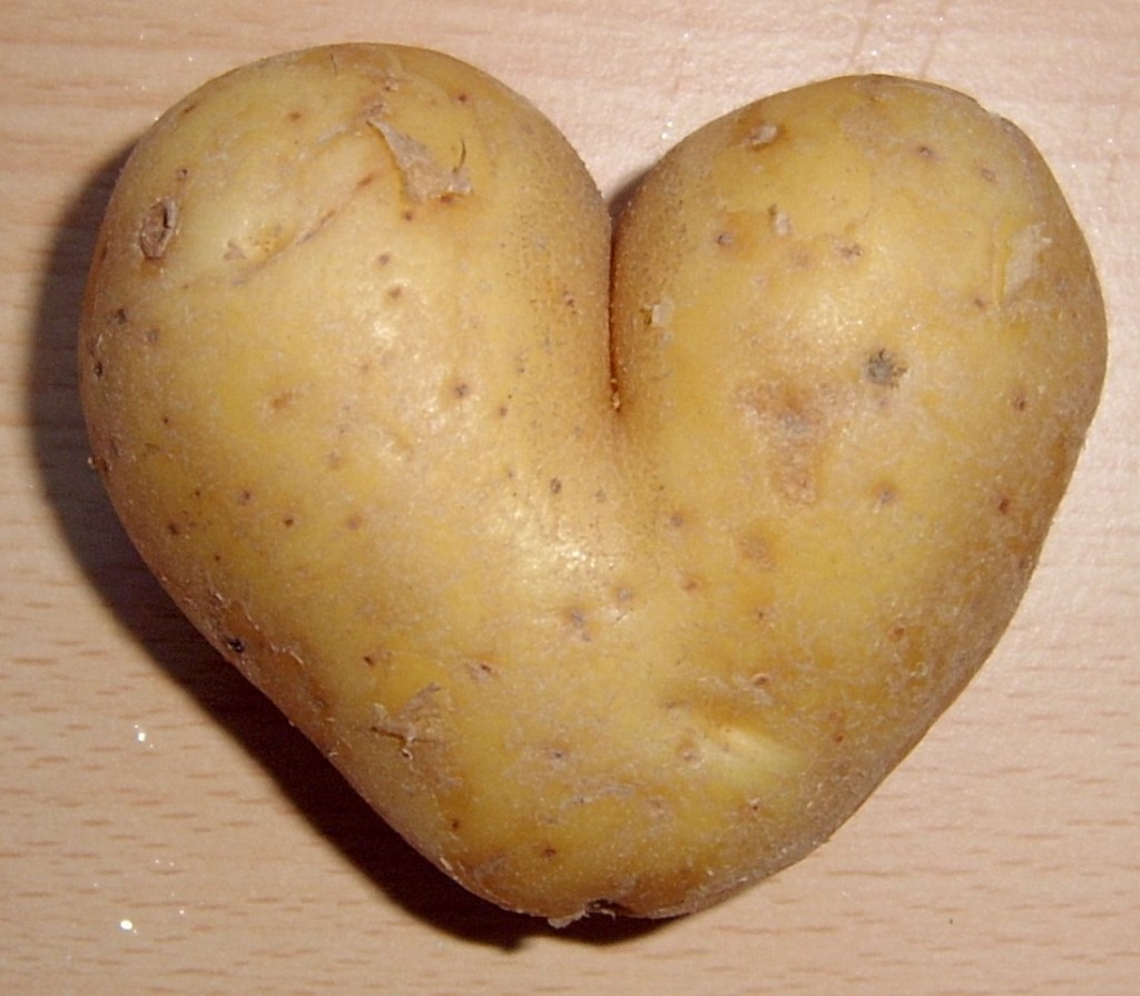 Smart Potatoes To Smarter Kids - Fort Worth Weekly