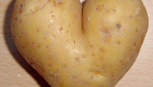 potato