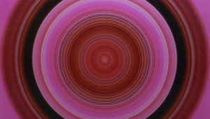 John Holt Smith’s “Wildflower Oculus”