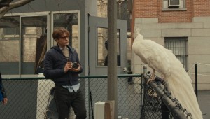 Astrid Berges-Frisbey and Michael Pitt regard a white peacock in I Origins.