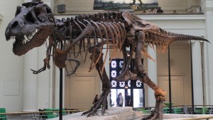 Dinosaur 13 opens Friday.