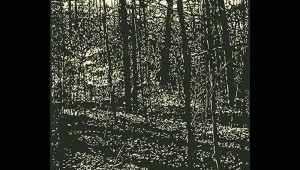 David Conn