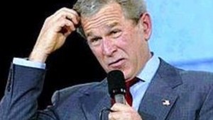 bush