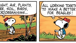 Peanuts