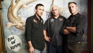 toadies