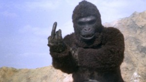 ape7