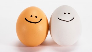 Eggs-78778649