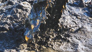 sludge-477293408