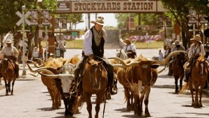 Stockyards