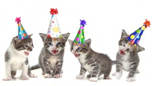 birthday-cats-153522225