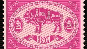 bison-522470461