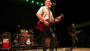 DDL Toadies