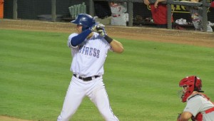 Gallo