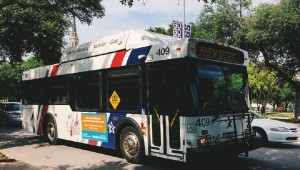 The T