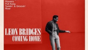 bridges