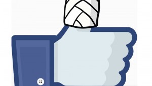 fb-452213629