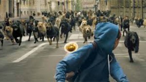 This is the opening of "White God."