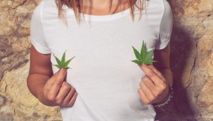 weed_000088672483_Full
