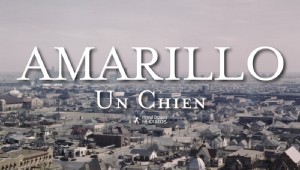 Un Chien