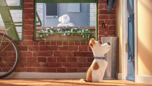 Max waits for his owner's return while Gidget spies on him from afar in "The Secret Life of Pets."