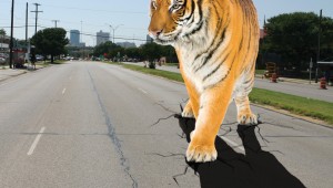 Tiger-no-mast