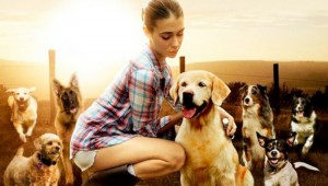 "The Dog Lover" opens Friday in Dallas.