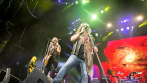 lynyrd