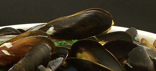 French_Mussels