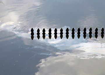 Ten days after Katrina hit, fenceposts in New Orleans’ Gentilly neighborhood were barely breaking the surface.
