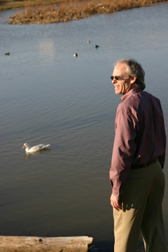 Arlington parks director Pete Jamieson looks over an ankle-deep retention pond that’s home to ducks and plenty of silt.