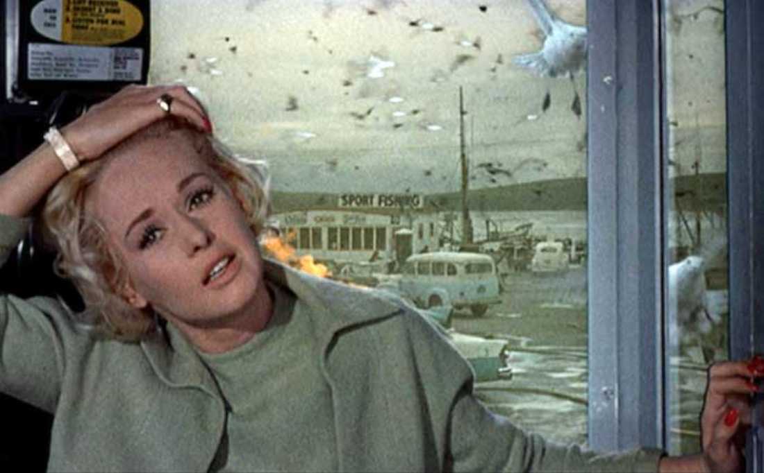 The Birds, celebrating its 50th anniversary, screens at 7pm at various movie theaters