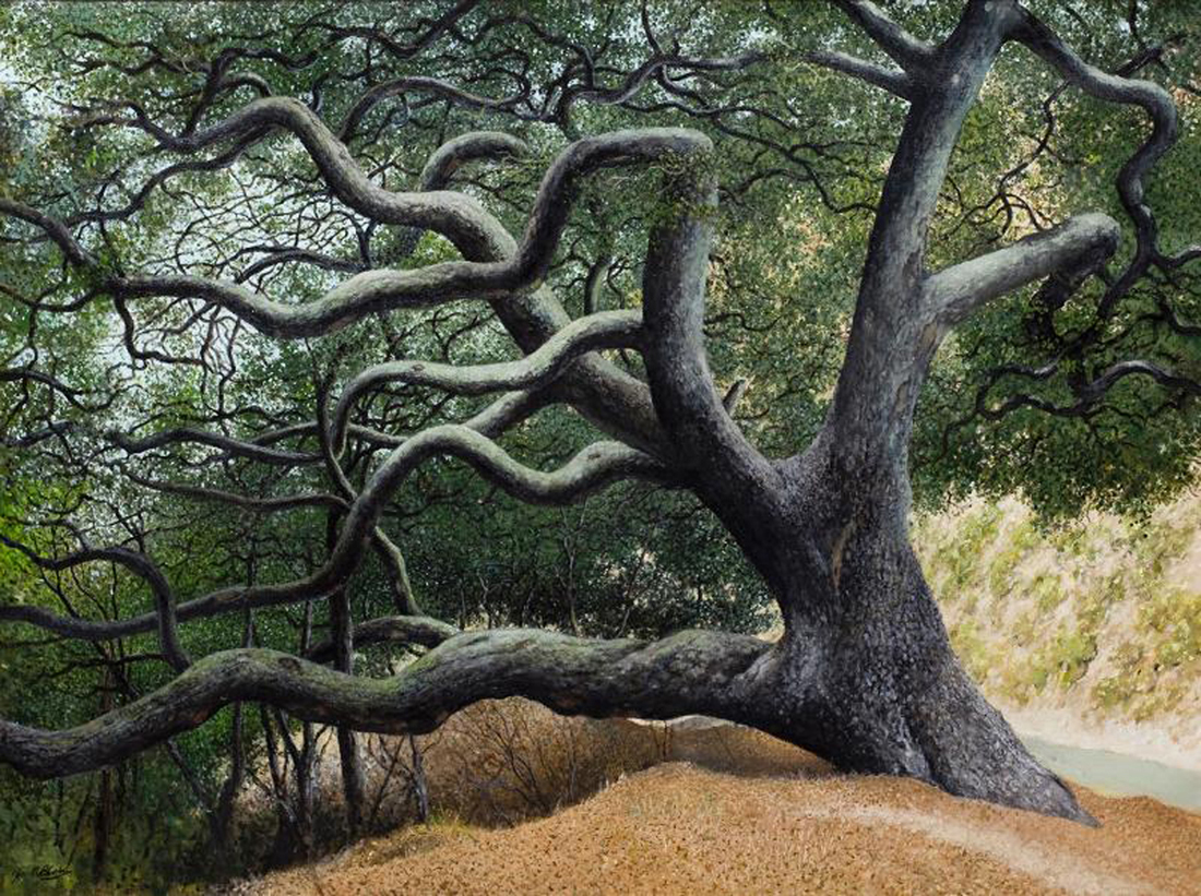 James Blake’s “Oak Tree in Rattlesnake Canyon”