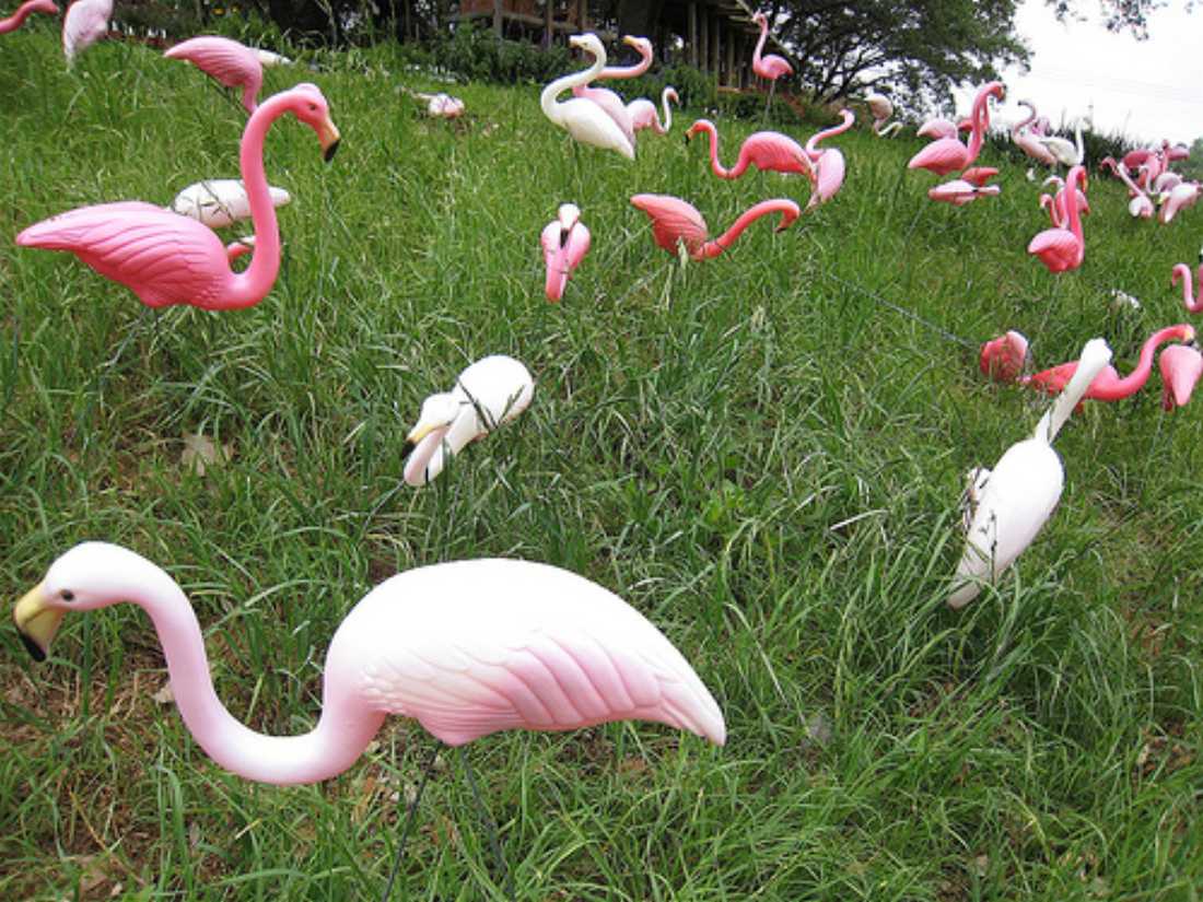Pink Flamingos & Painted Trees is 7-8pm Wed, May 8 at the Center for Architecture.
