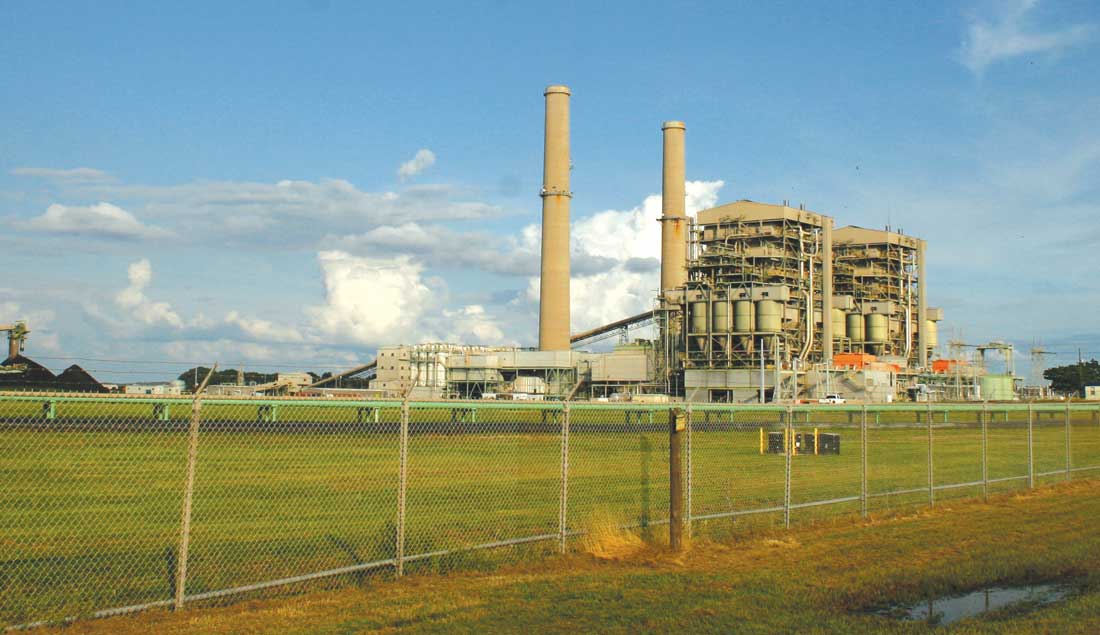 At Luminant’s Martin Lake plant, eight months of coal waste discharge killed off major portions of the fish in a nearby lake. Jimmy Alford