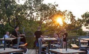 A big live oak shades the rooftop patio at The Live Oak Music Hall & Lounge. Brian Hutson