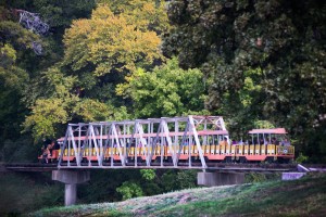 This truss bridge for the Forest Park Miniature Railroad crosses an oxbow of the Trinity. 