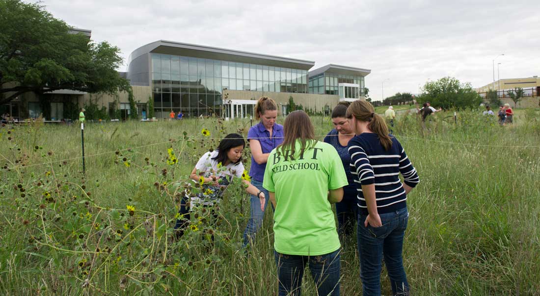 BRIT staffers conduct a census of native plants in each section of the prairie plot. Brian Hutson