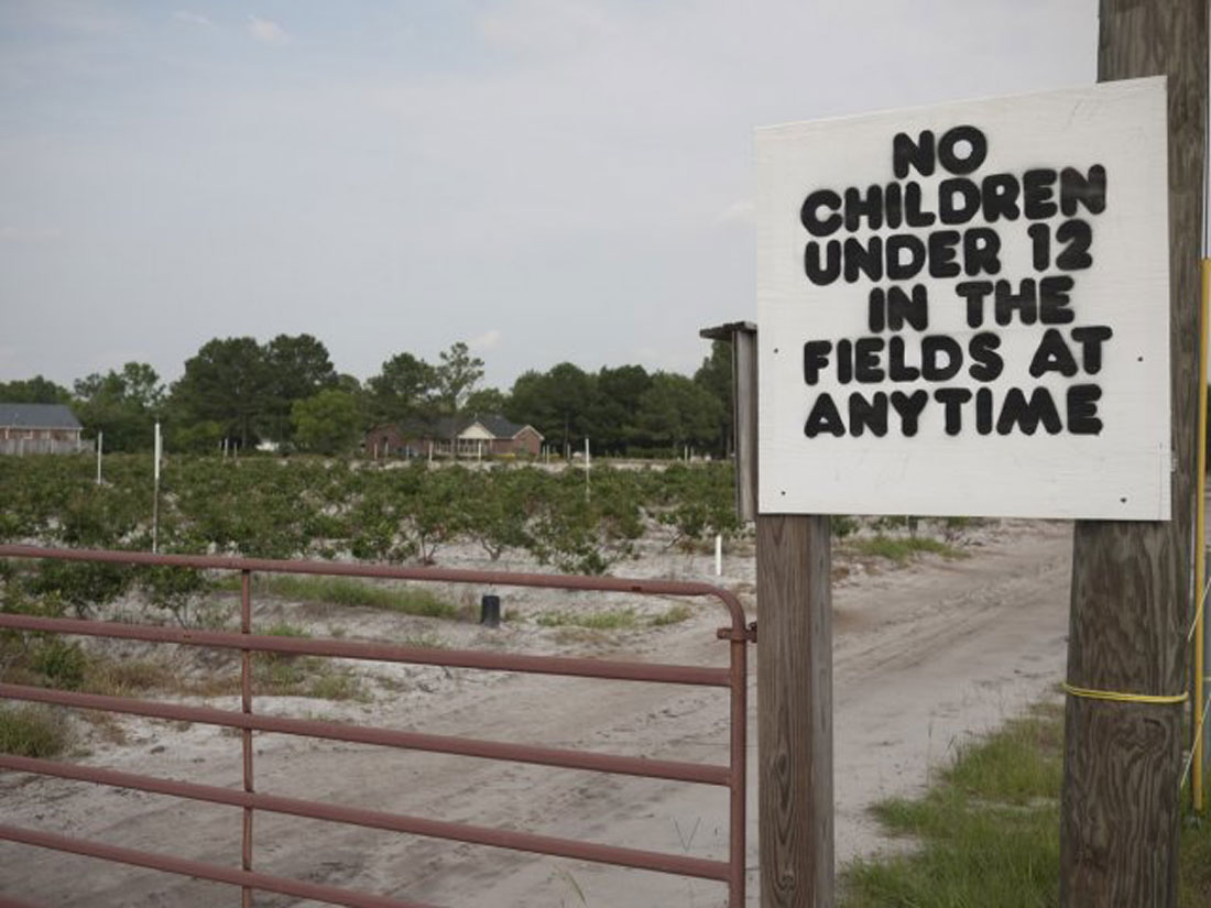 The Harvest screens as part of Movies That Matter, Sat.