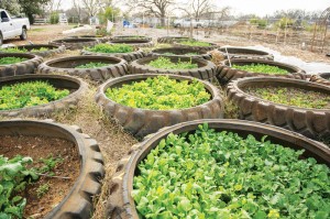 The Gardeners turned refuse into rich soil for growing crops.