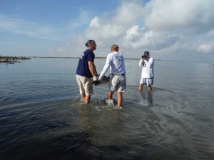 The Texas Gulf Coast draws eco-tourists from around the world.  Stephanie Herweck