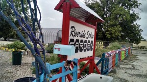 After thieves made off with supplies for the community garden, the Riverside Arts District just turned it into part of the area’s “growing” charm.  Gayle Reaves