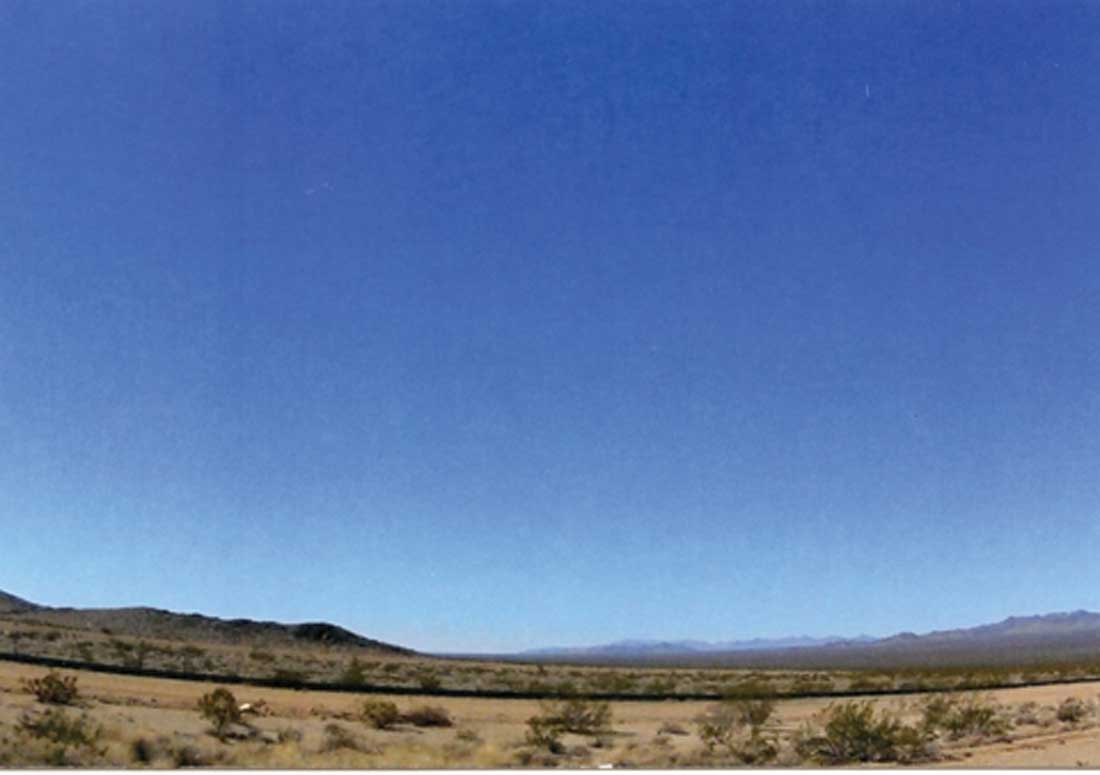 Billy Hassell’s “Roadrunner South of Marfa”