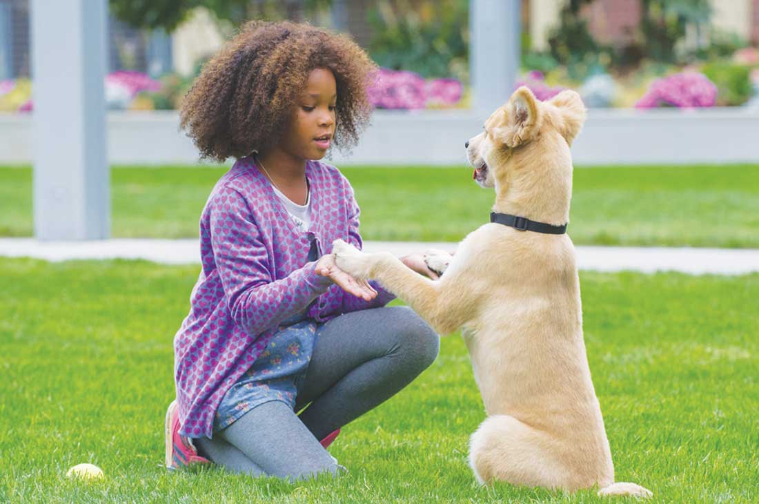 Quvenzhané Wallis plays with Sandy in the new Annie.