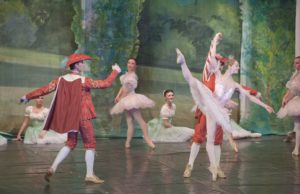 Sports Rush: The Fine Art of Sport