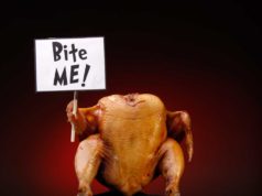 Don’t Blame the Bird